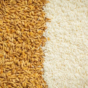 Rice-Specific NPK Fertilizer (25kg bag)