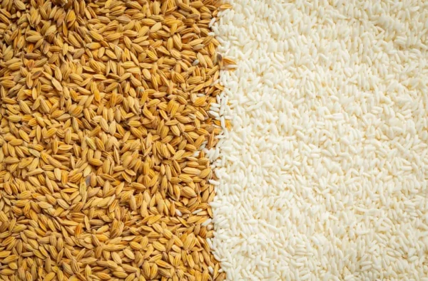 Rice-Specific NPK Fertilizer (25kg bag)
