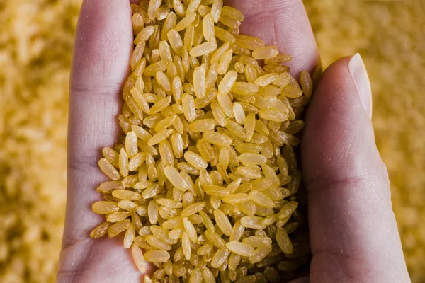 Short Grain Paddy Rice 100 kg