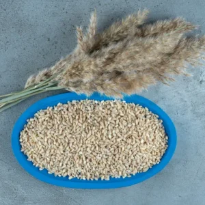 Raw Rice Husk (Unprocessed) 25kg