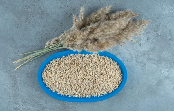 Raw Rice Husk (Unprocessed) 25kg